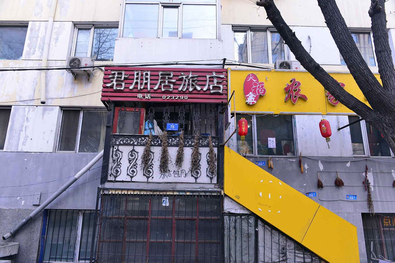 外观
