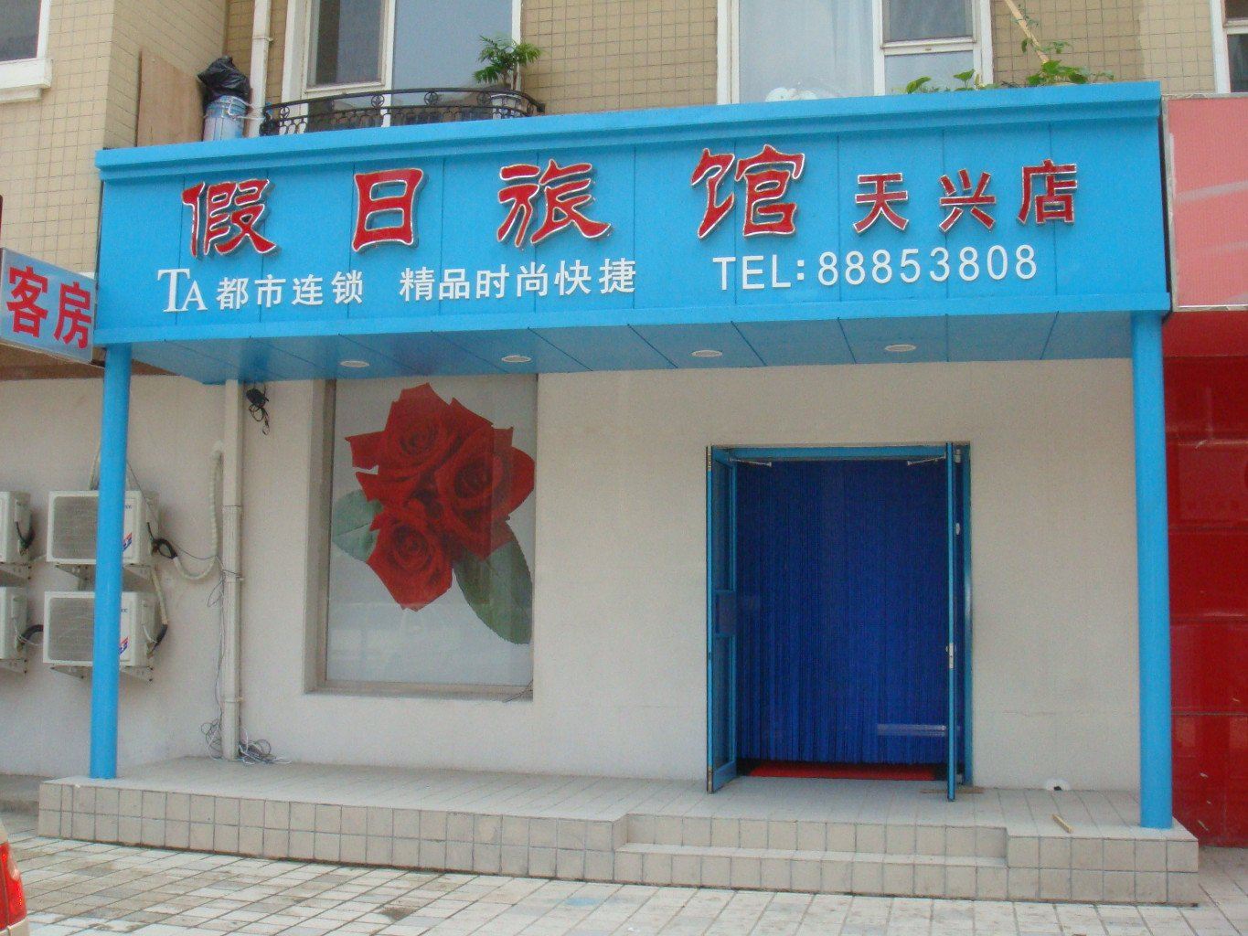 外观
