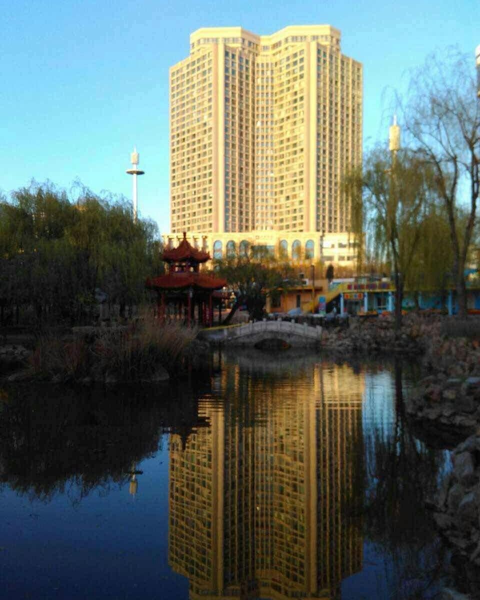 大连伊景乐家