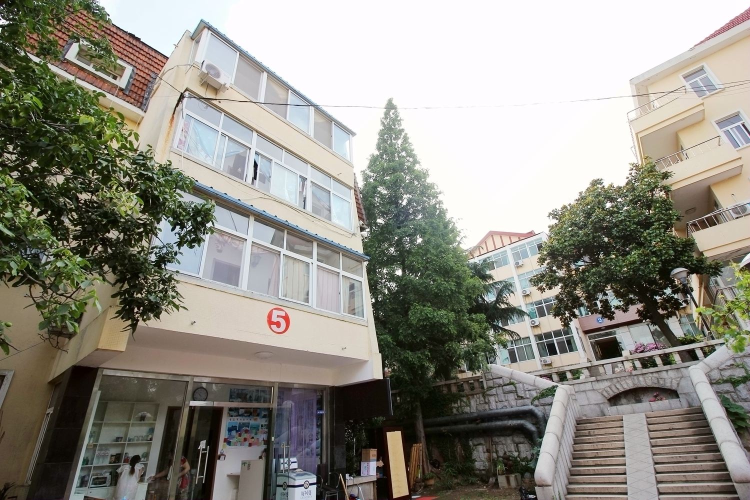 外观
