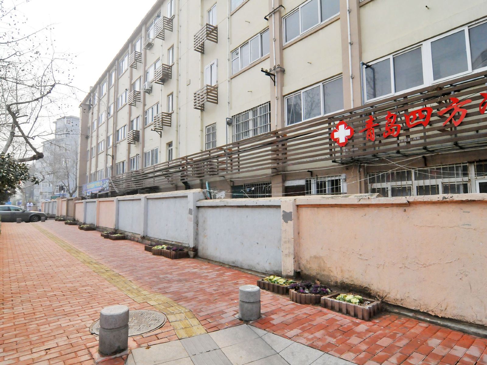 青岛梧桐花树家庭旅馆
