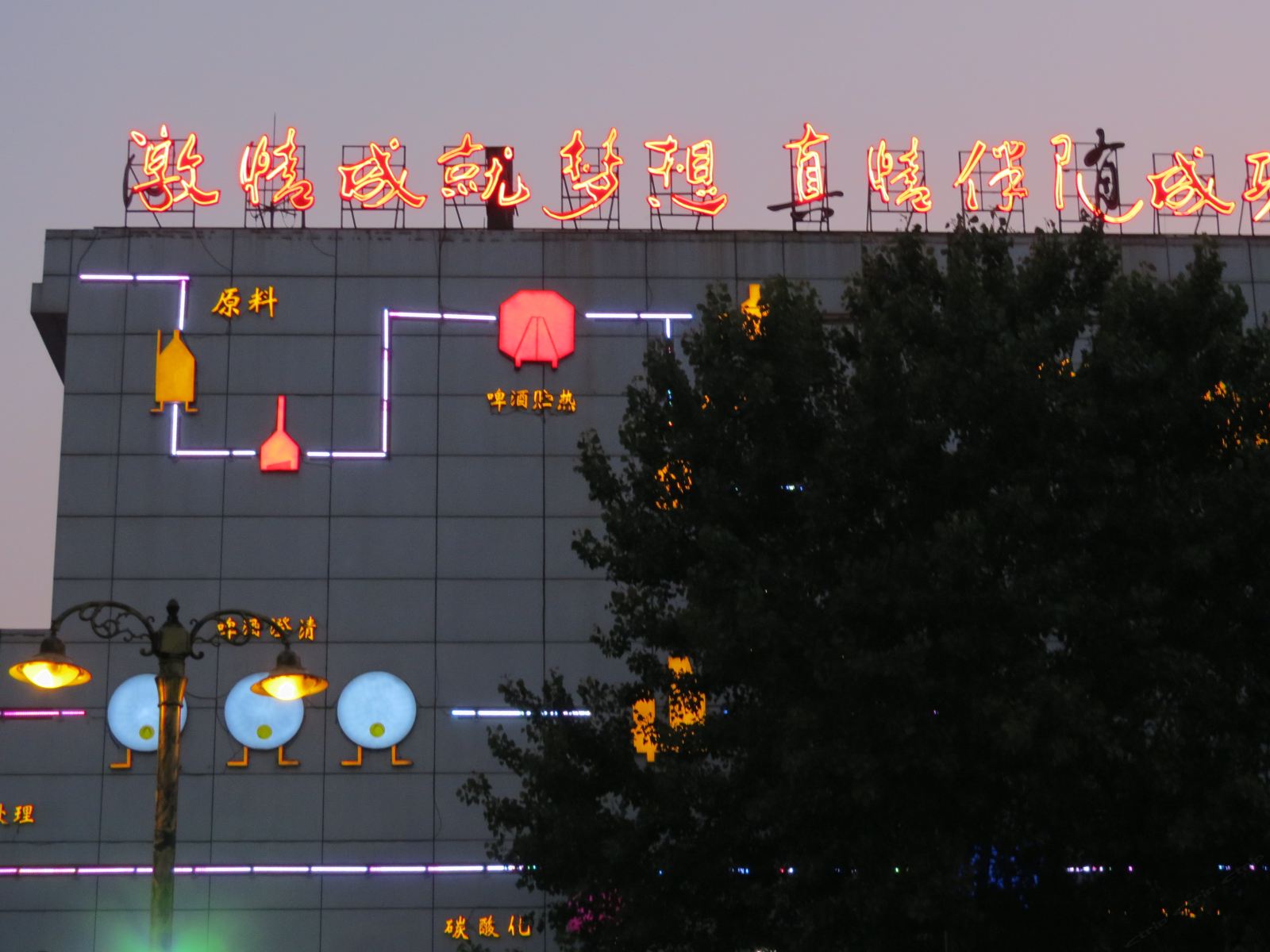 外观