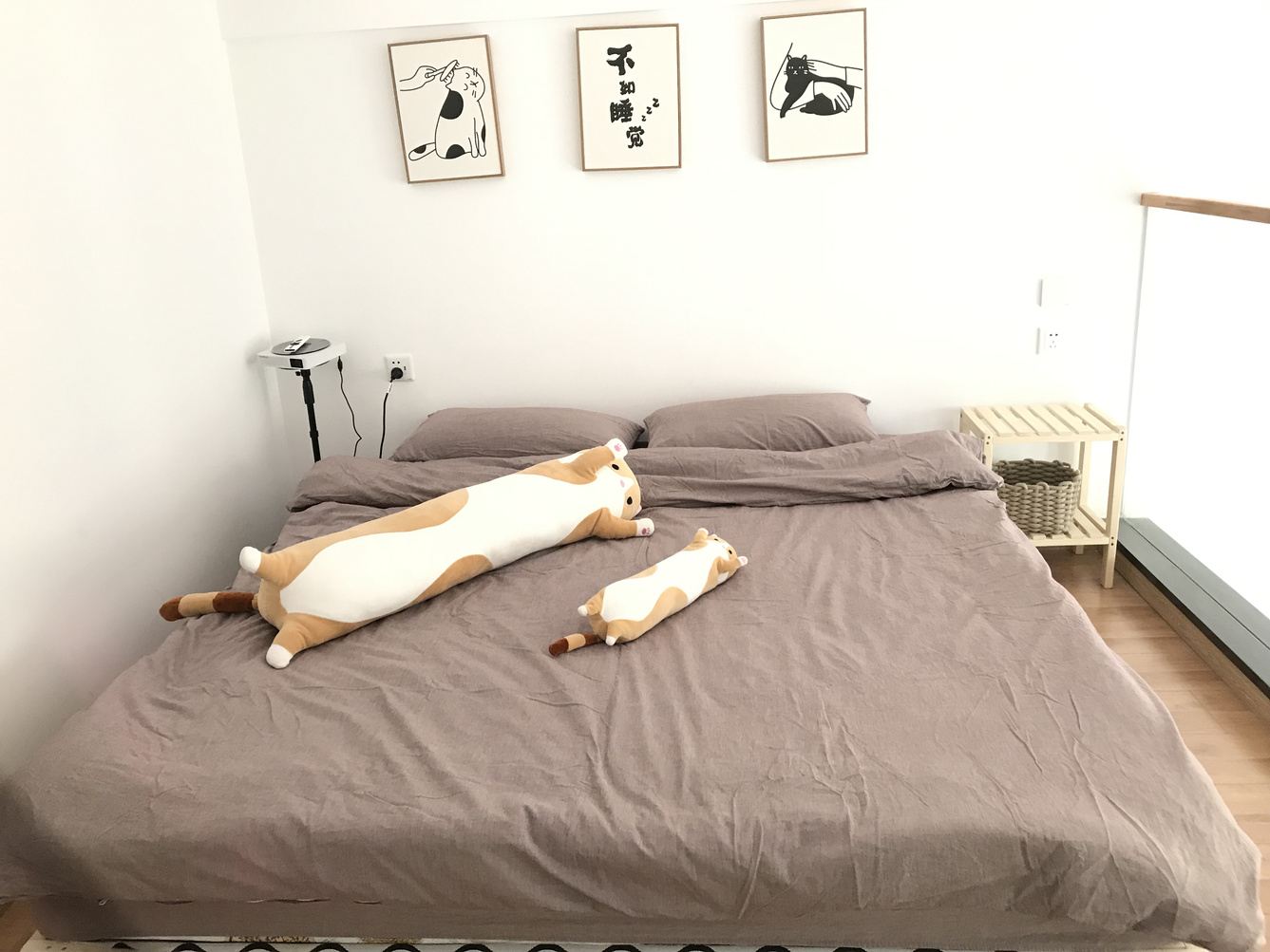 和风一室一厅套房