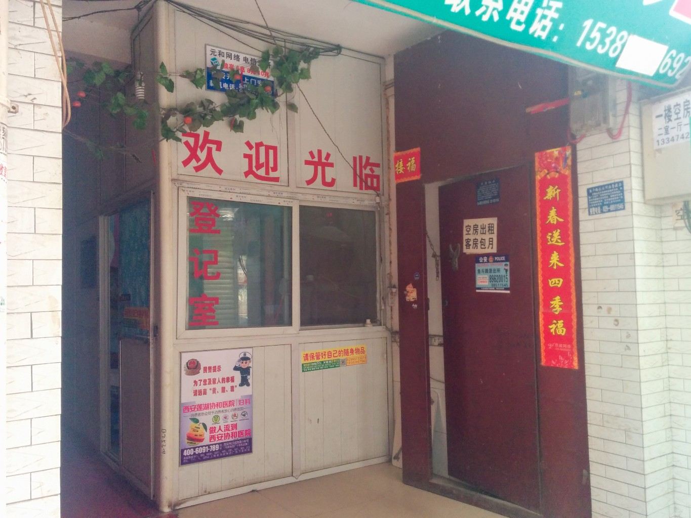 外观