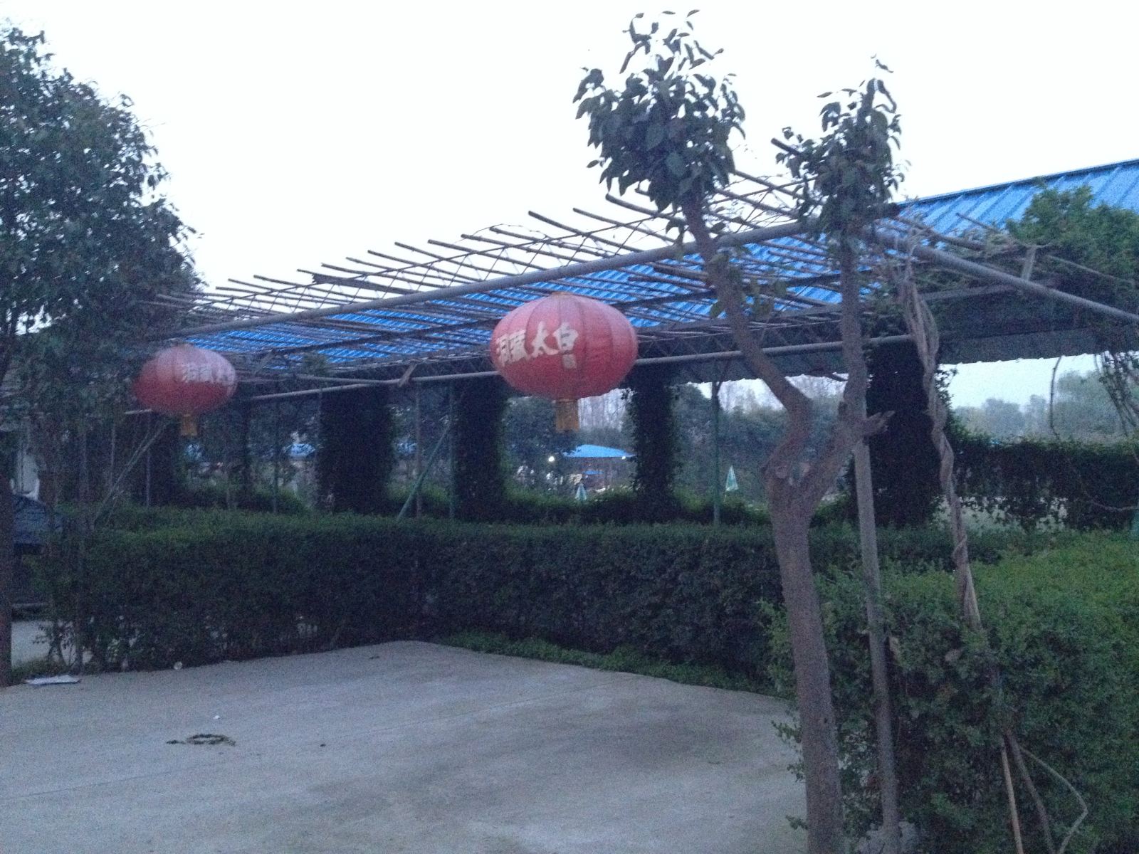 公共区域