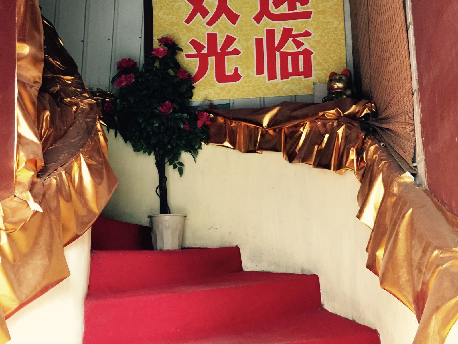 公共区域