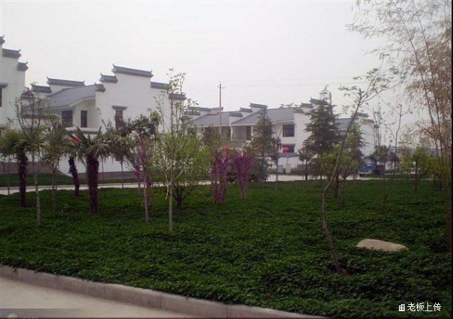 西安佳峰农家乐