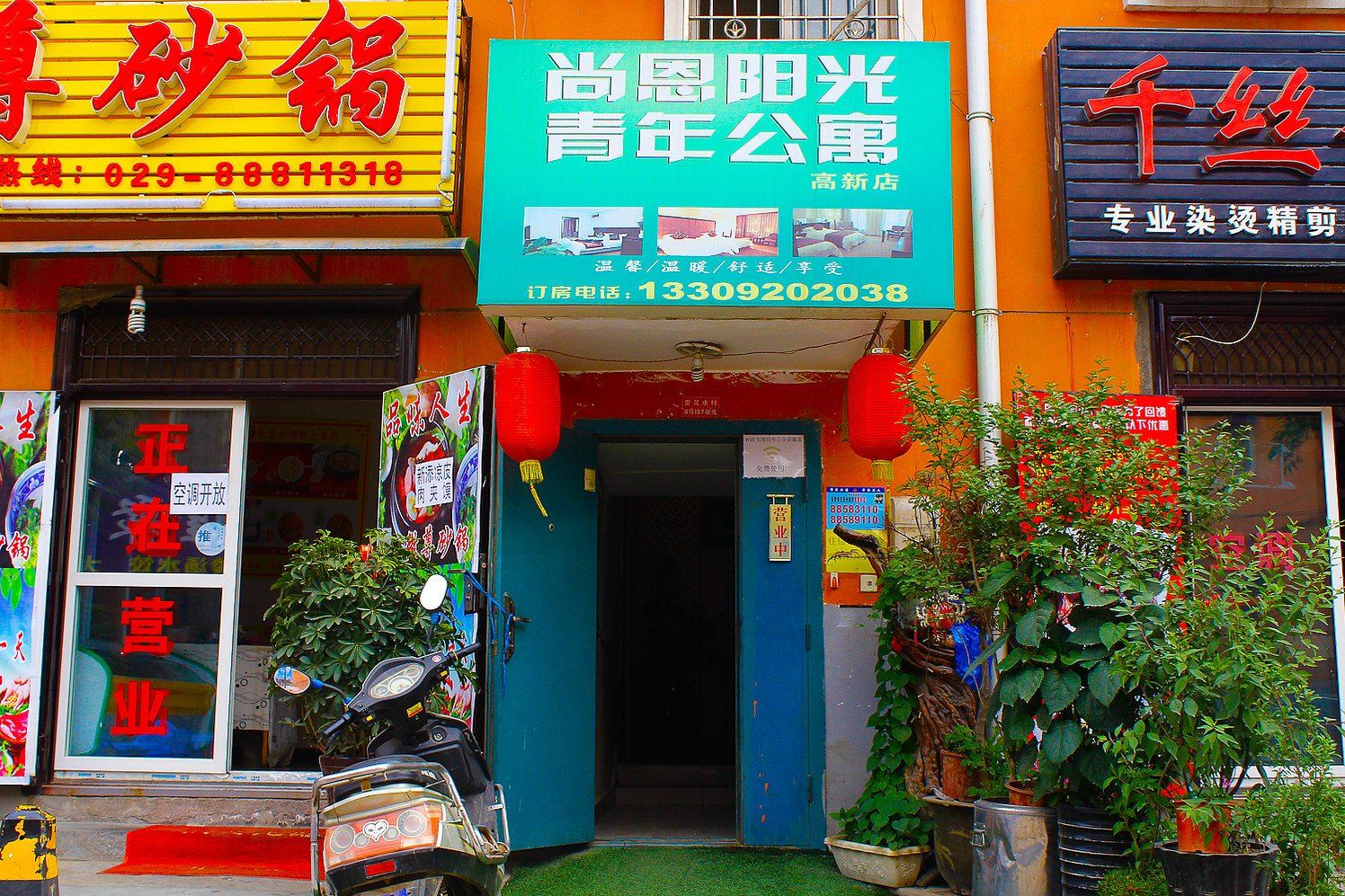 外观