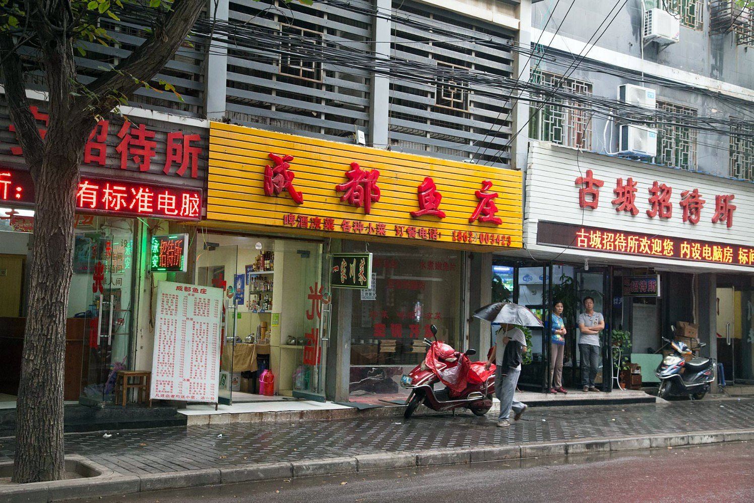 外观