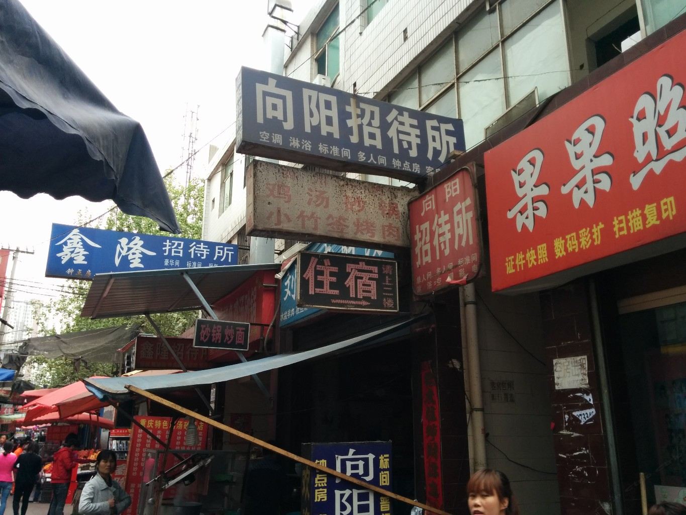 外观
