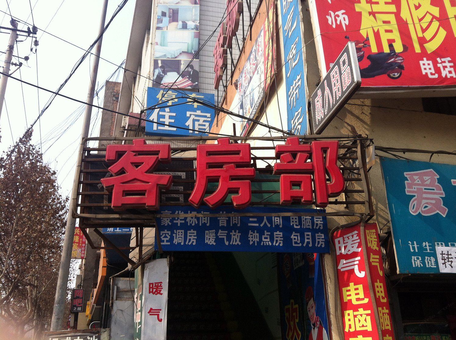 外观