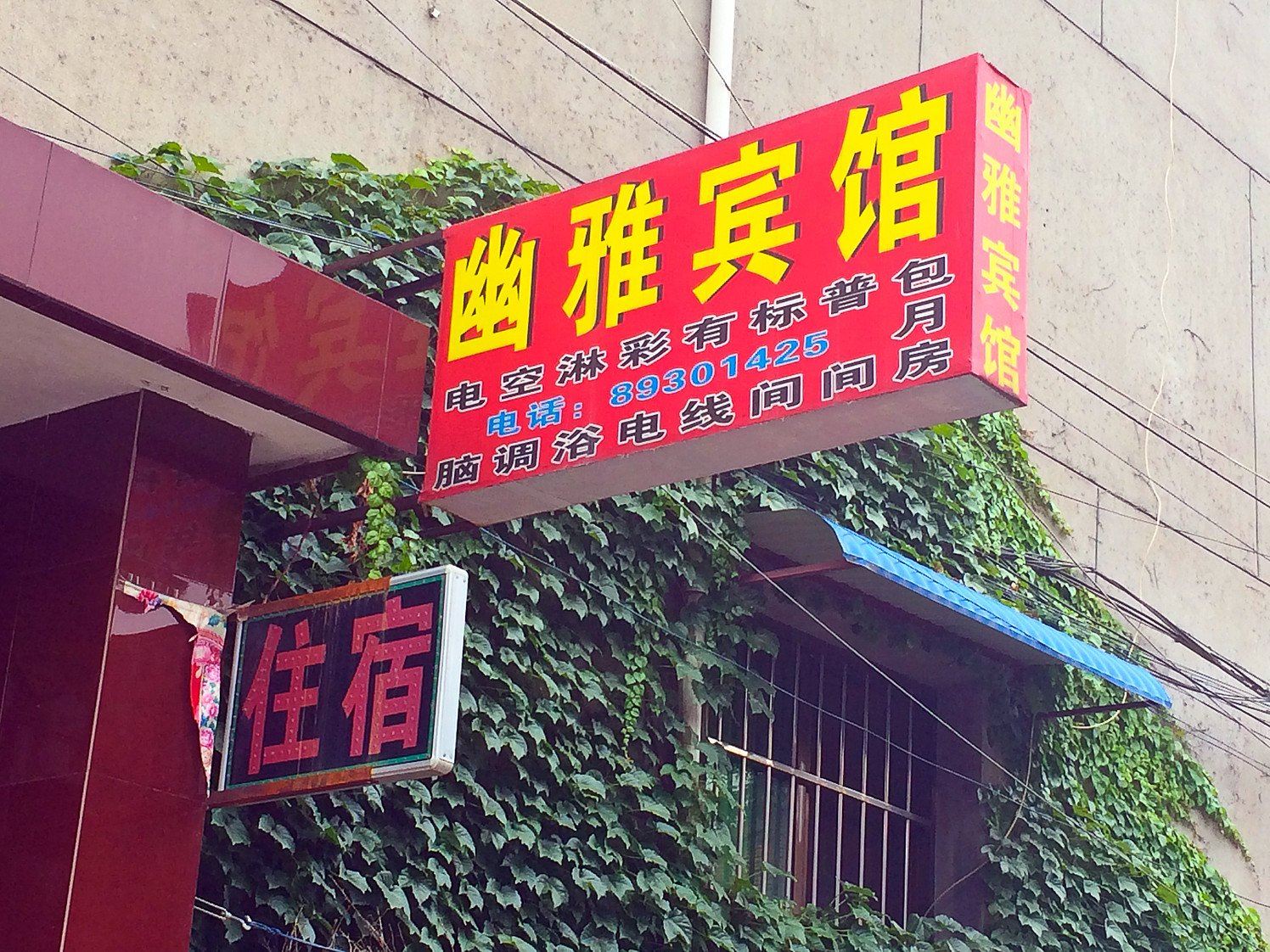 外观