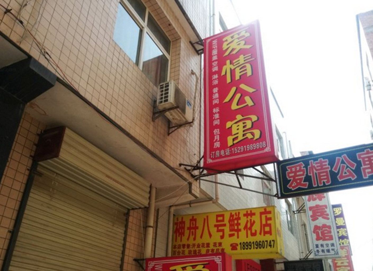 外观