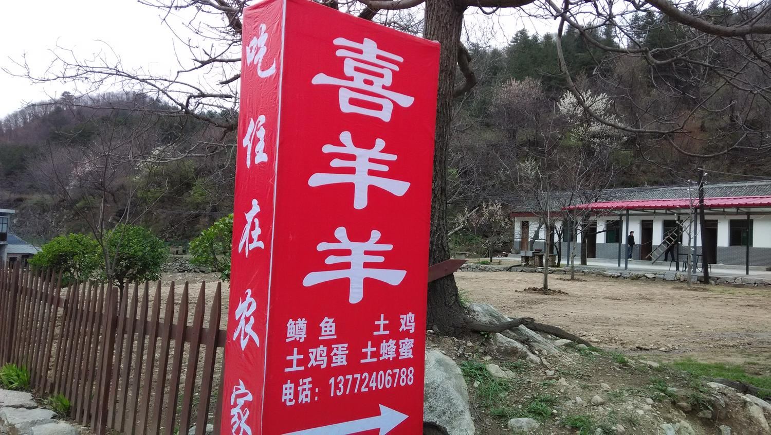 朱雀喜洋洋农家乐
