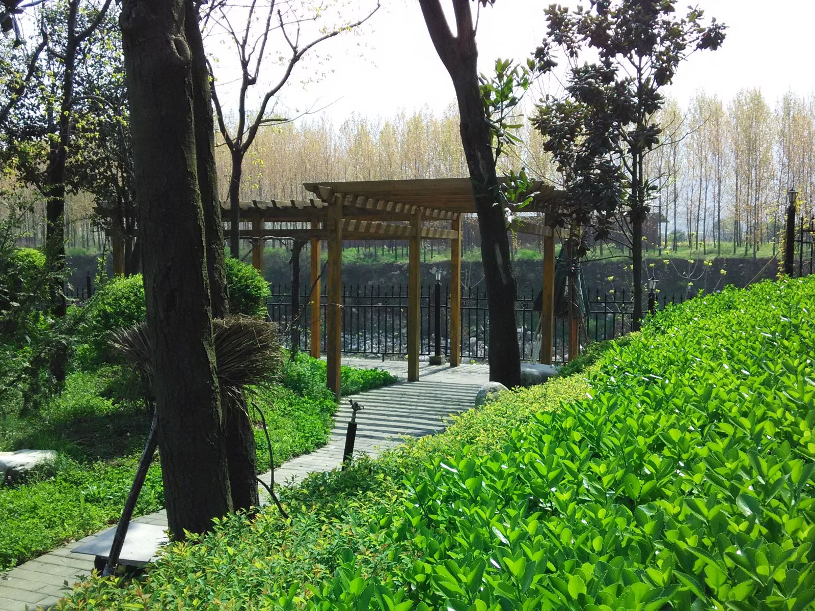公共区域