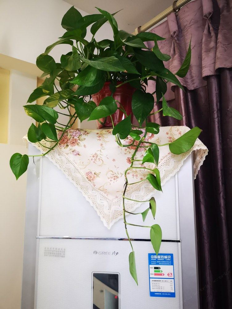 西安温馨小家w公寓(2号店)