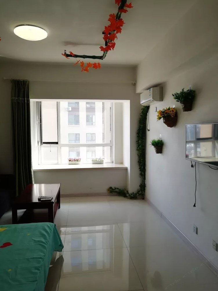 精致一室大床房