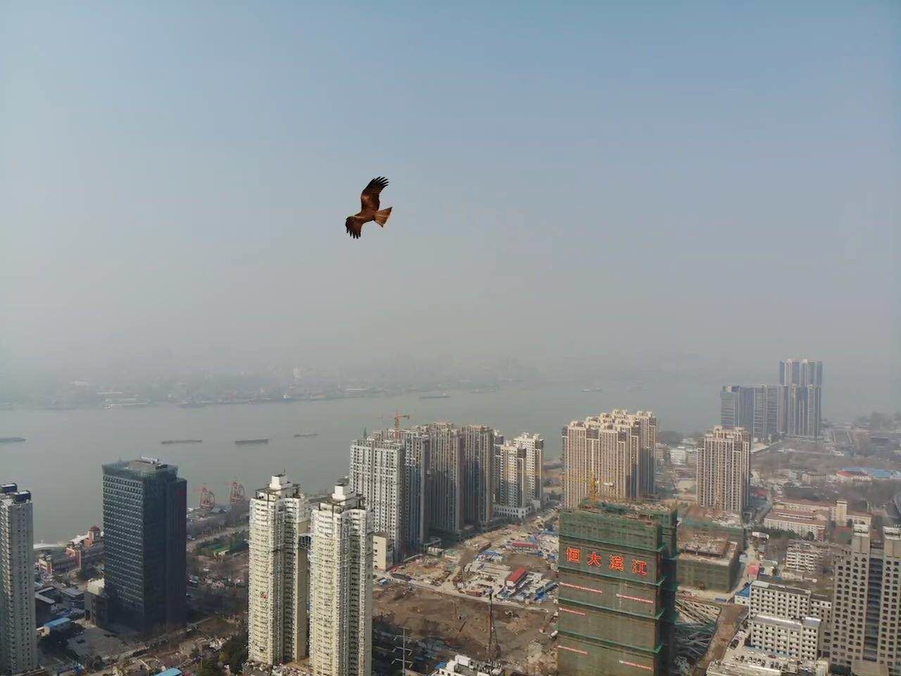 南京顾教授公寓