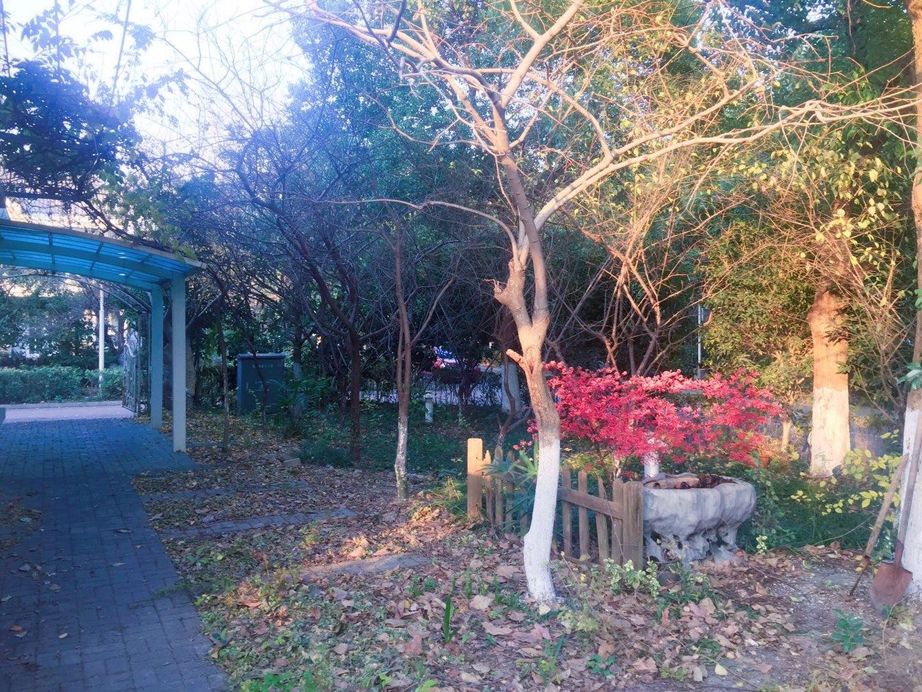 南京飞翔的梦度假别墅(高湖路分店)