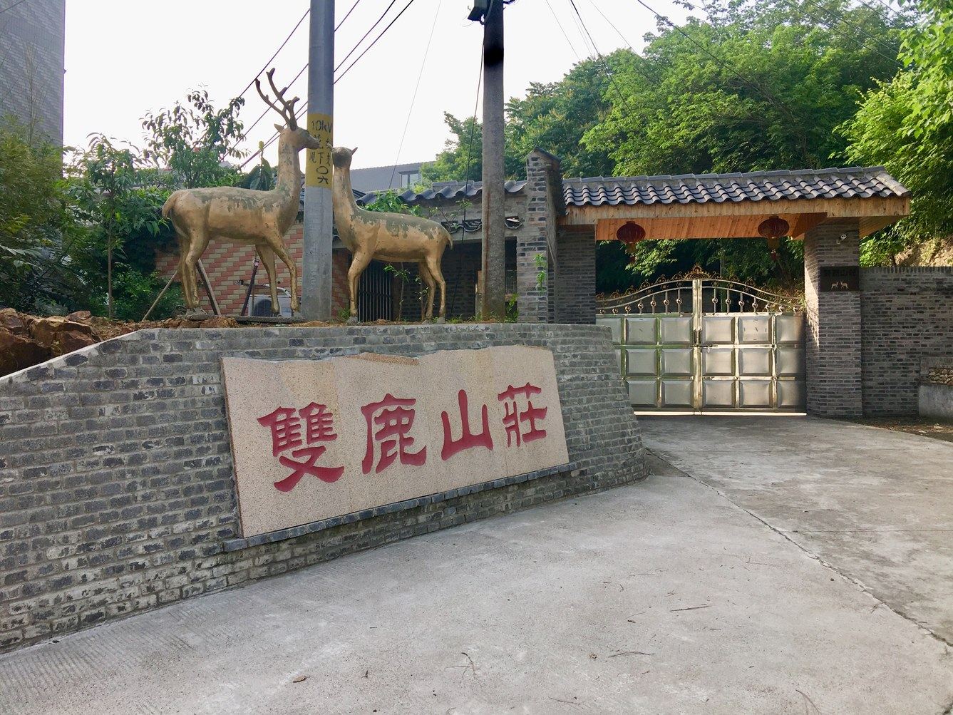 外观