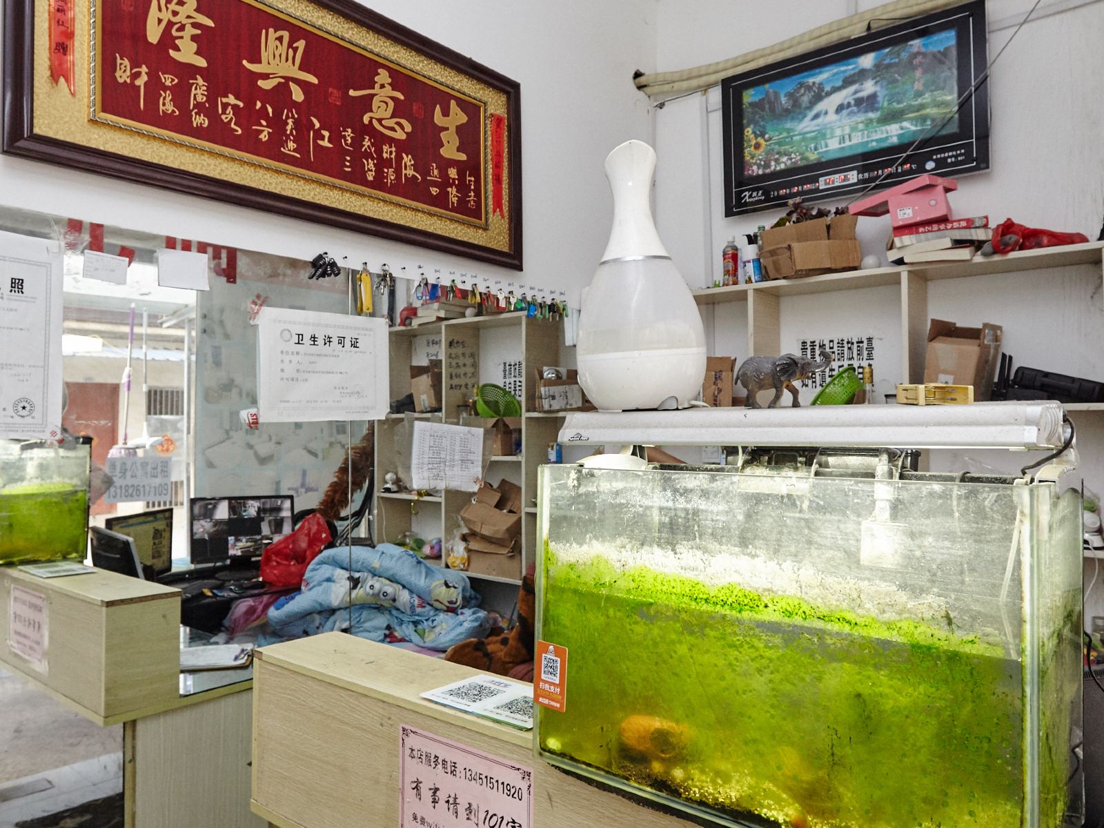 公共区域