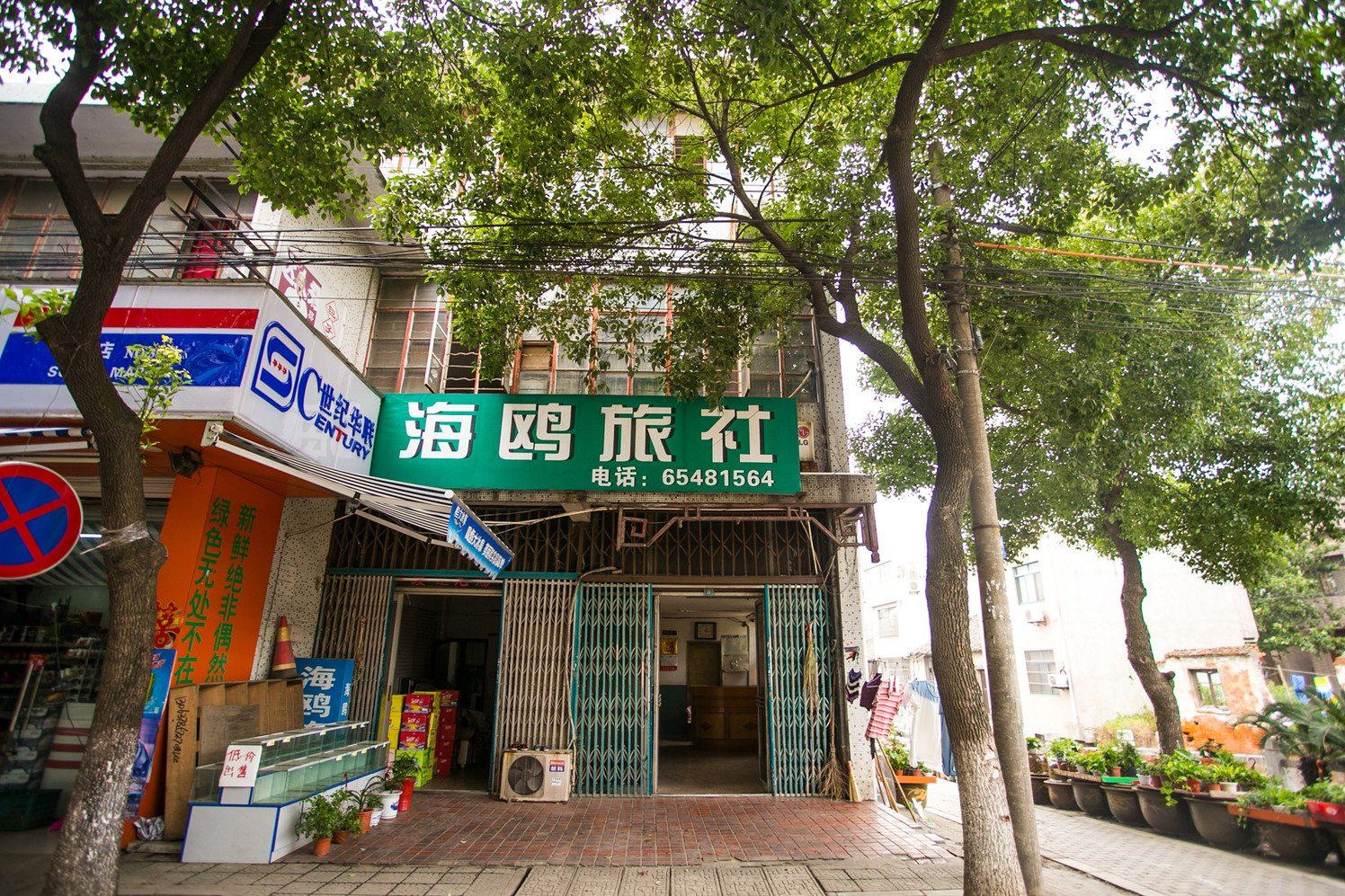 外观