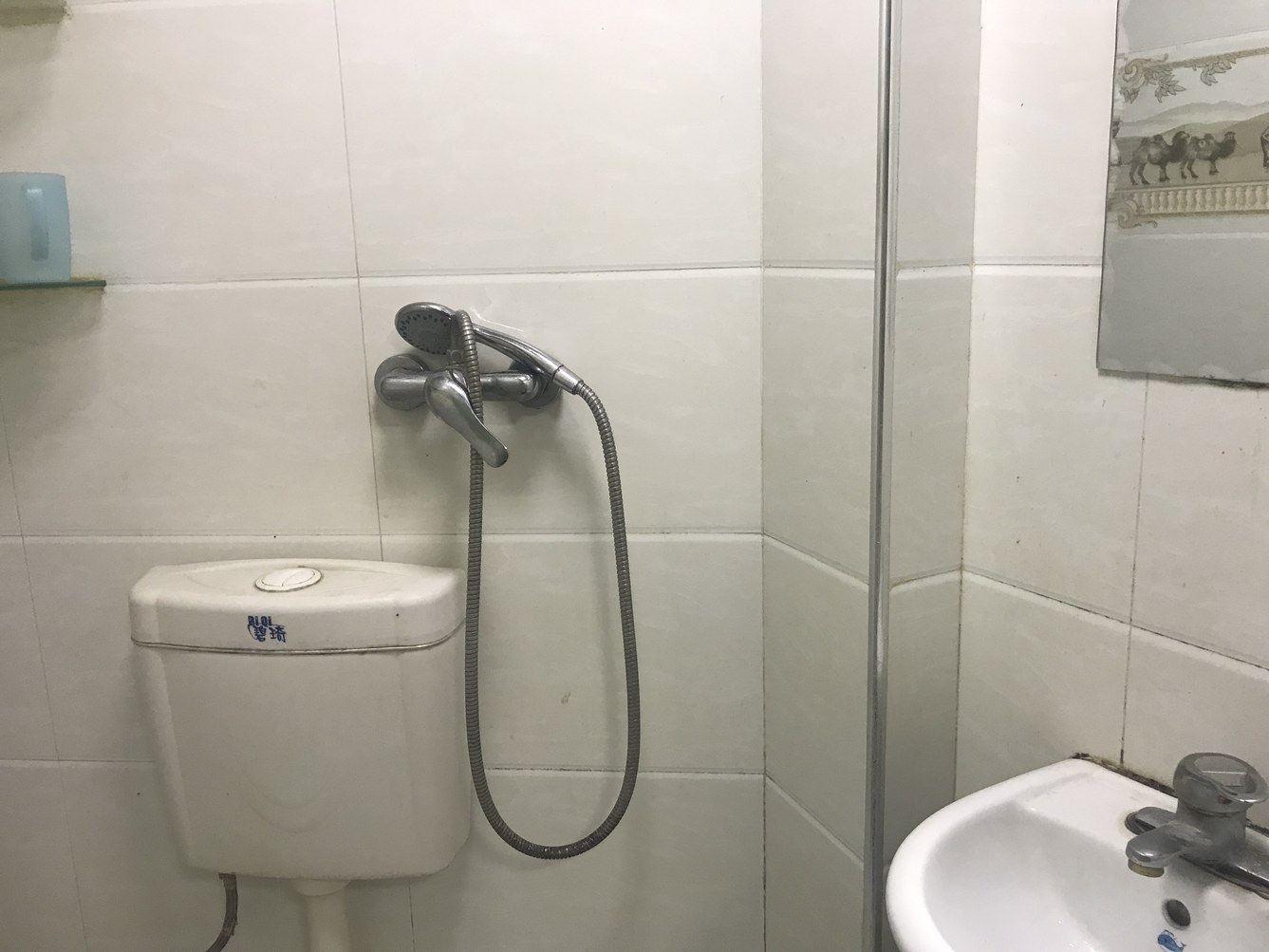 舒适标准间