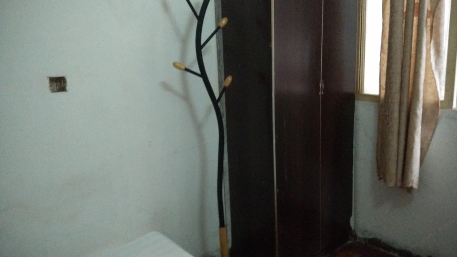 标准单人间