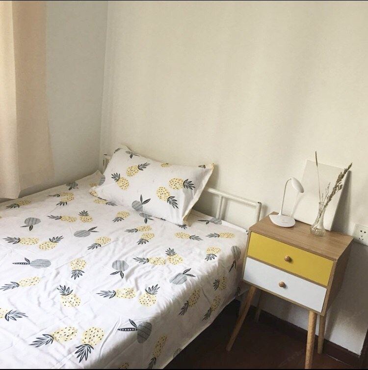 北欧风二室一厅套房