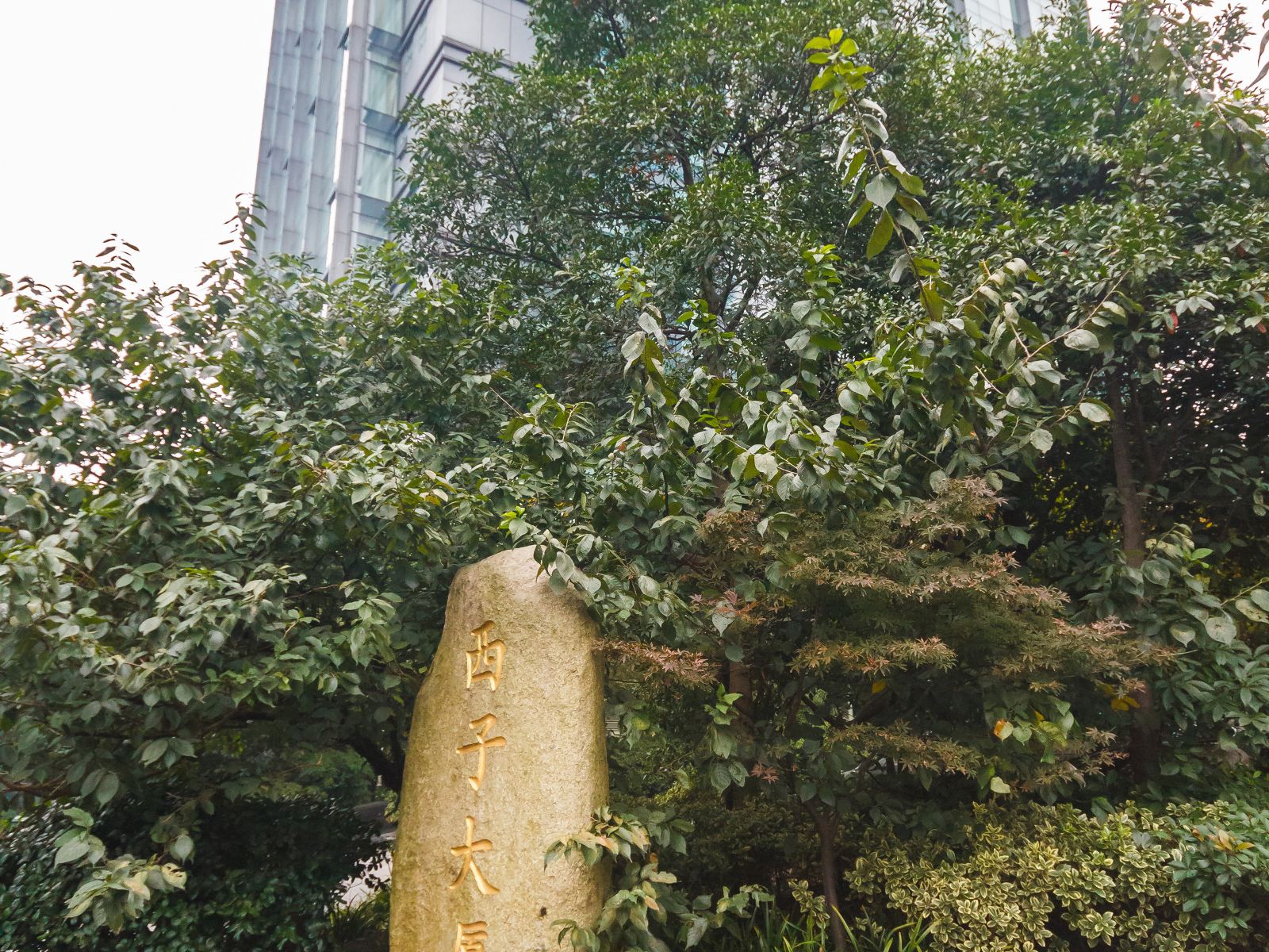 杭州秦宣服务式公寓