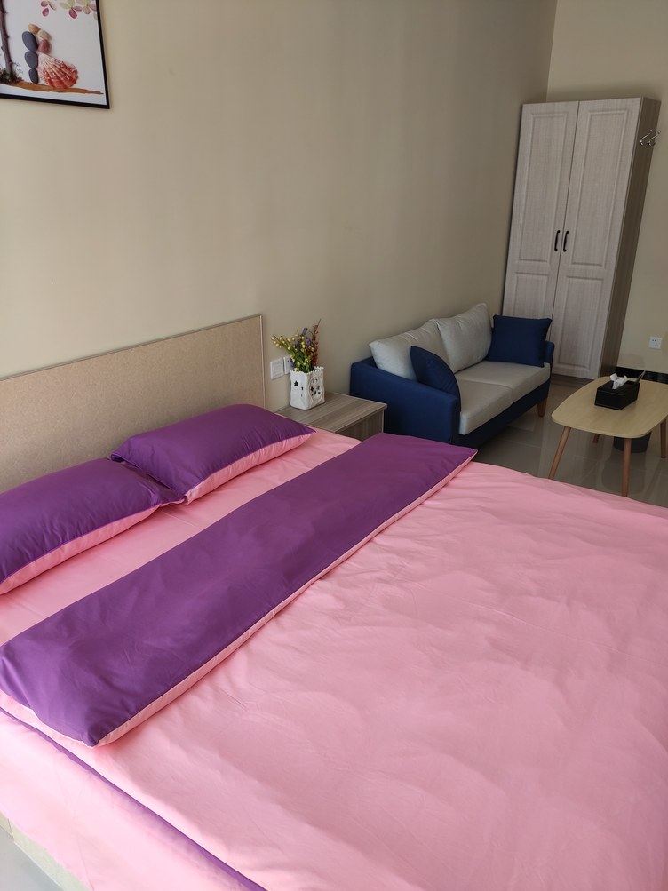 精致简欧一室大床房