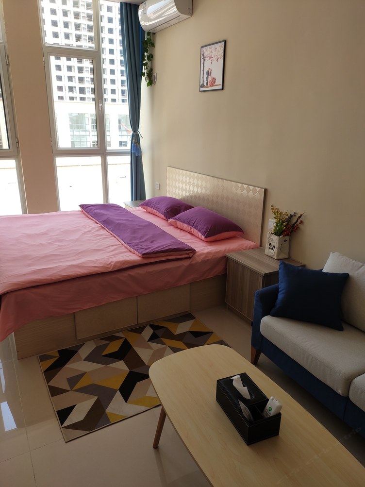 精致简欧一室大床房