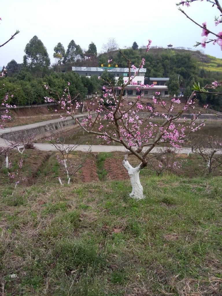 健身娱乐设施