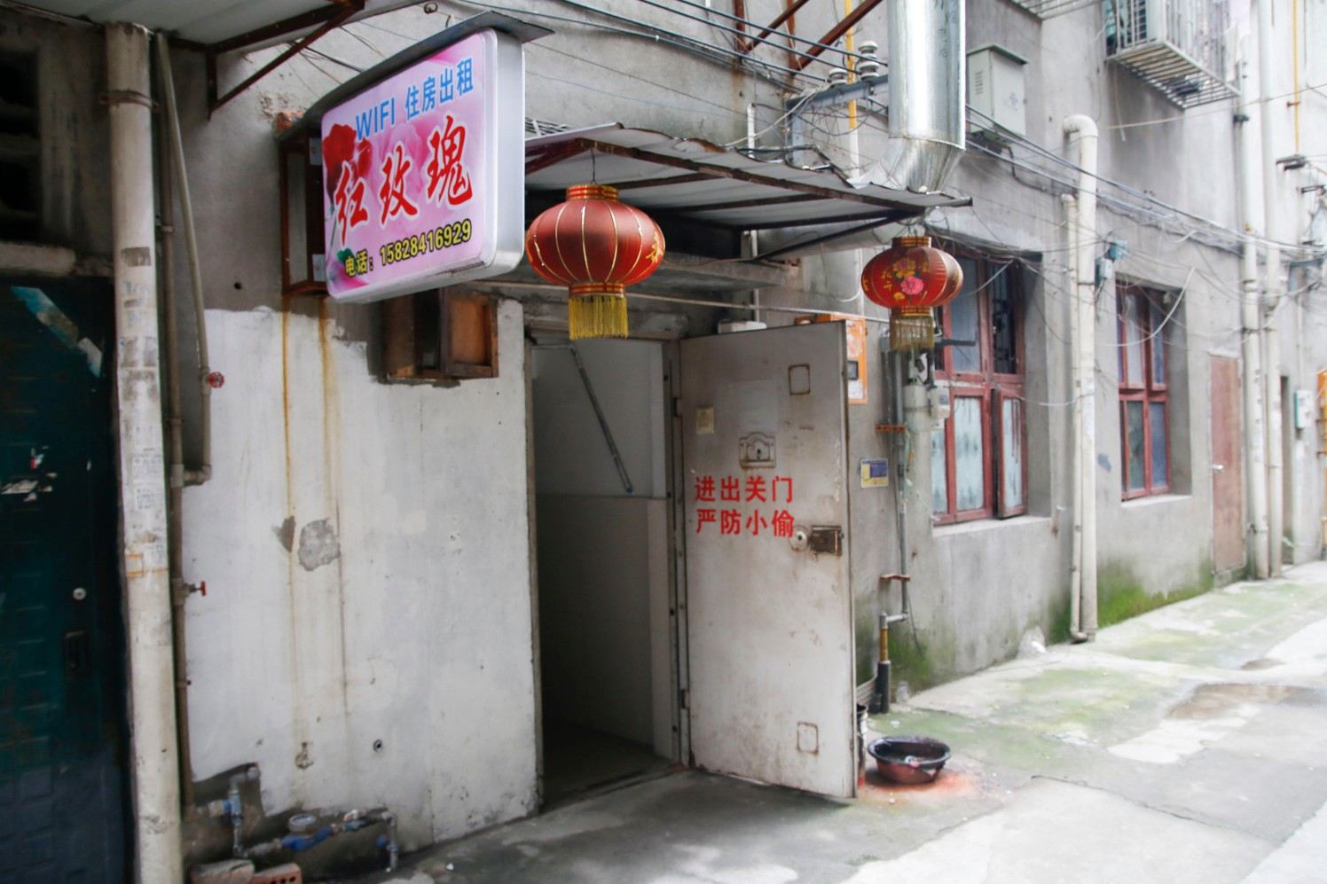 成都红玫瑰