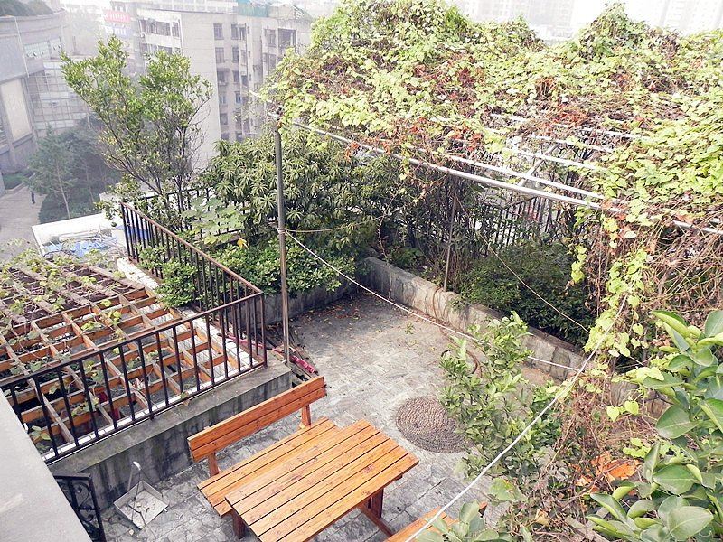 成都向日葵青年旅舍