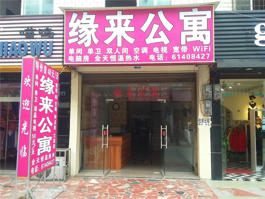外观
