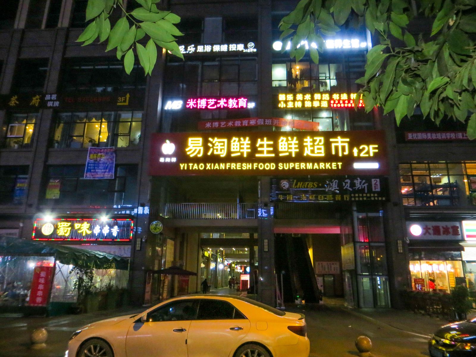 外观