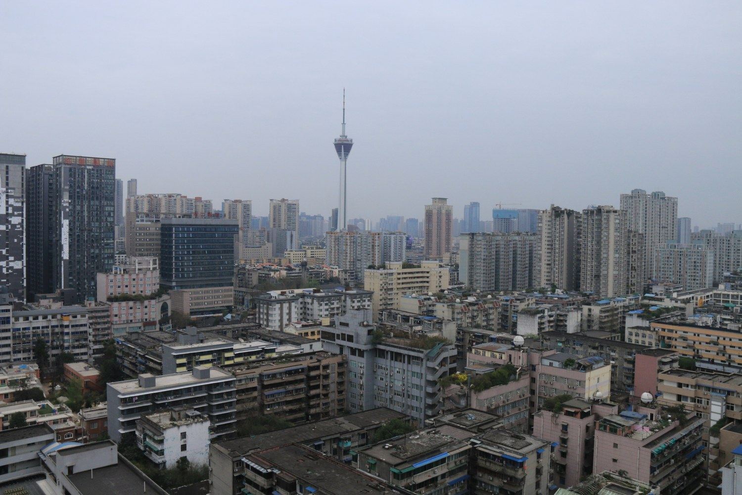 其他