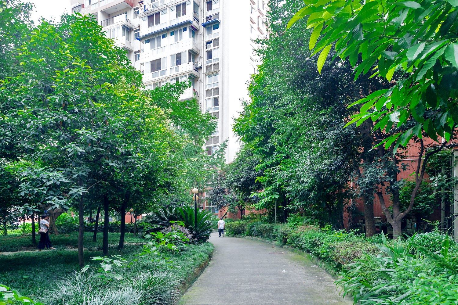 爱旅游的小棉袄公寓NO.6
