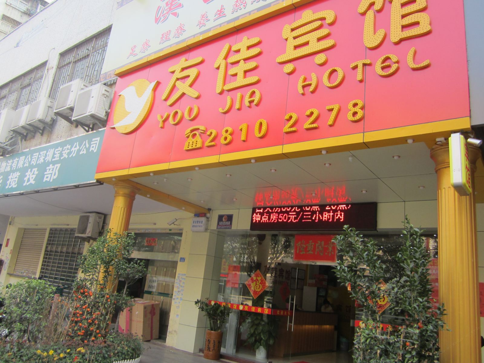 外观