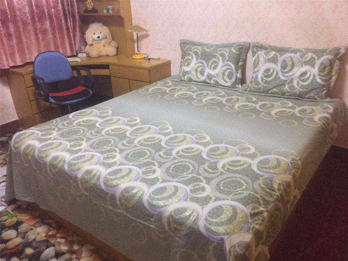 精致二室一厅套房