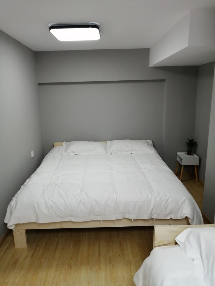 loft一室二床房