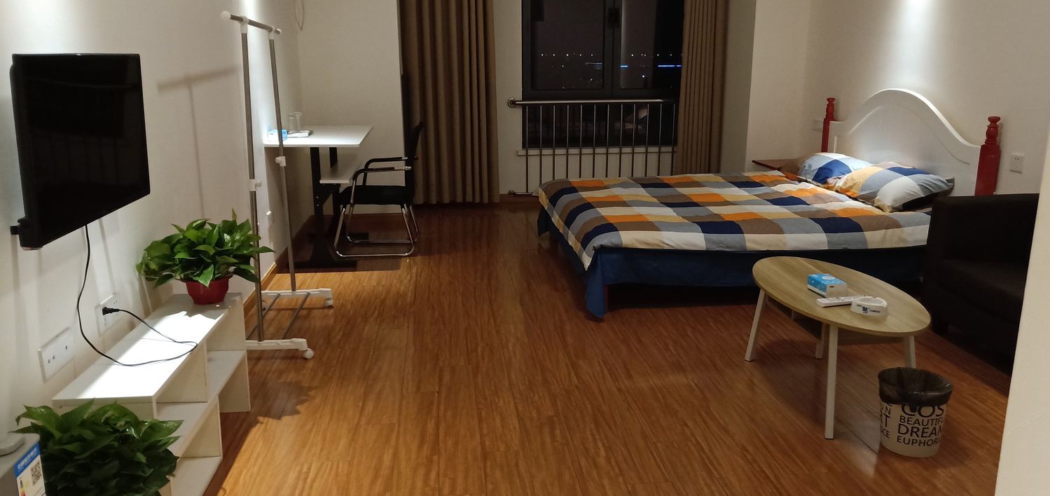高端一室大床房
