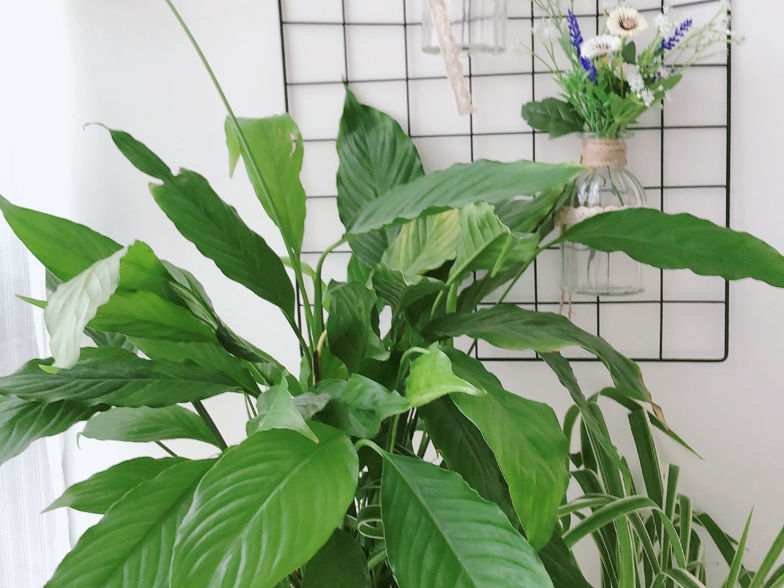 北欧小清新大床房