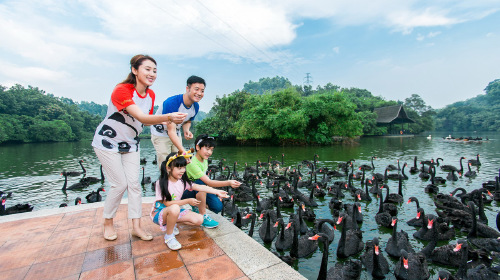 广州长隆-珠海长隆-中山-黄埔军校火车5日游 纯