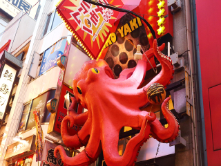 日本十一日游旅游团_日本游旅行团报价_日本九日游路线