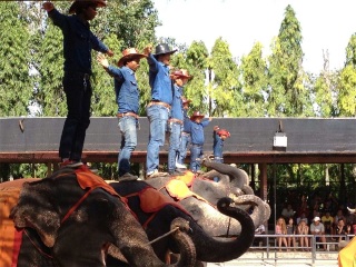 泰国纯玩旅游团_泰国旅游几月份最好_游泰国的价钱
