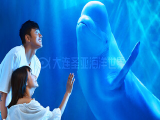 8月大連旅游_大連旅行團(tuán)自由行_2021去大連旅游團(tuán)報價