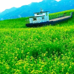 景点模块 