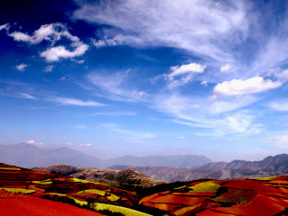 云南昆明旅游要多少錢跟團(tuán)_到云南昆明旅游多少錢_報(bào)團(tuán)去云南昆明多少錢